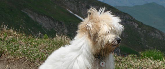 Floyd