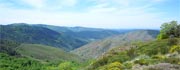 Un des nombreux panoramas de notre région Languedoc Roussillon entre Montpellier et Clermont Ferrand